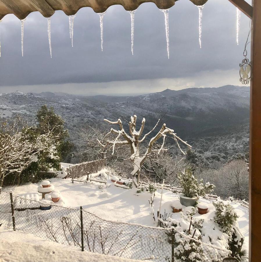 U Vechju Fragnu Apartment Vezzani Bagian luar foto